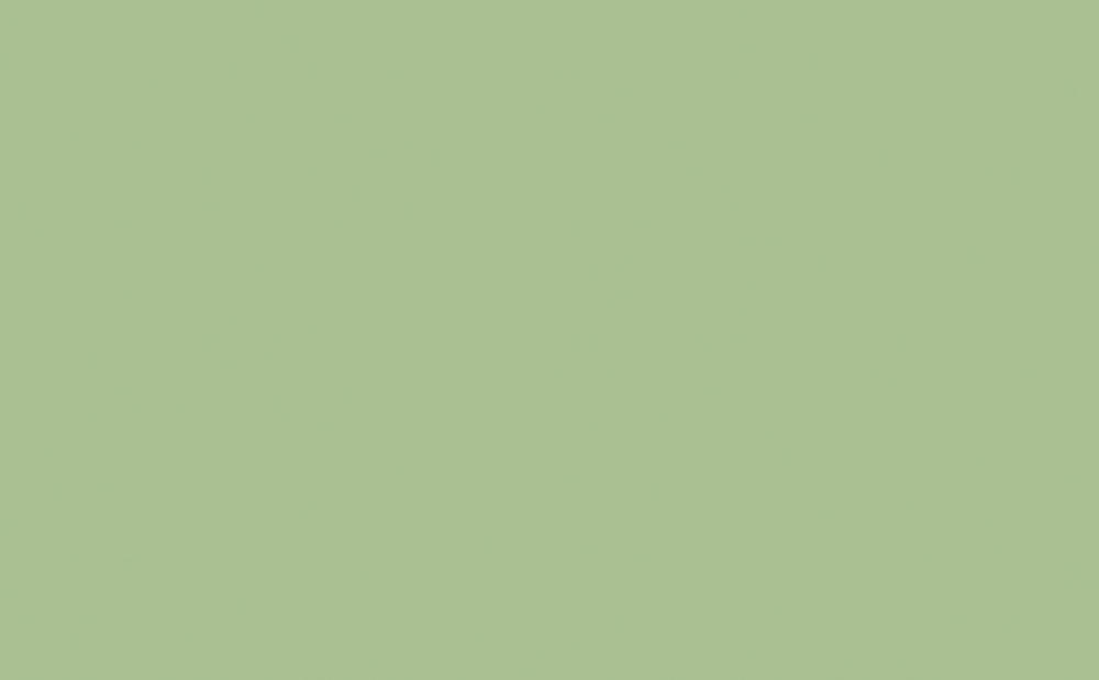 Vopsea Little Greene Intelligent Floor Paint Pea Green
